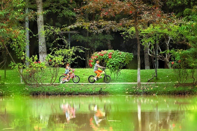 Đạp xe bên hồ 