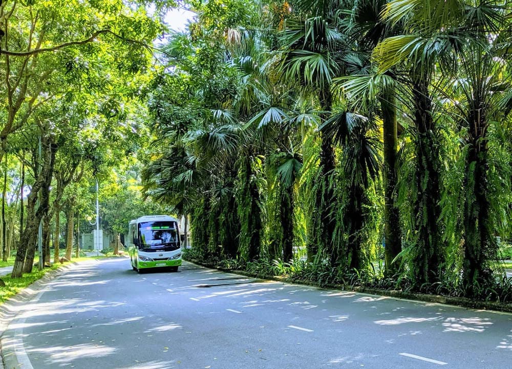 Xe bus Ecopark