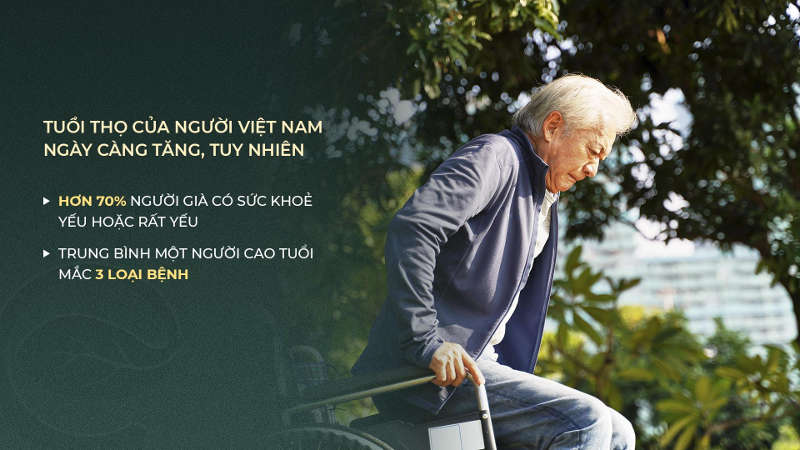 hơn 70% người lớn tuổi có sức khỏe yếu hoặc rất yếu