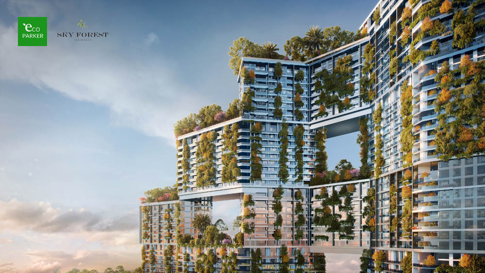Thiết kế chung cư Sky Forest Ecopark