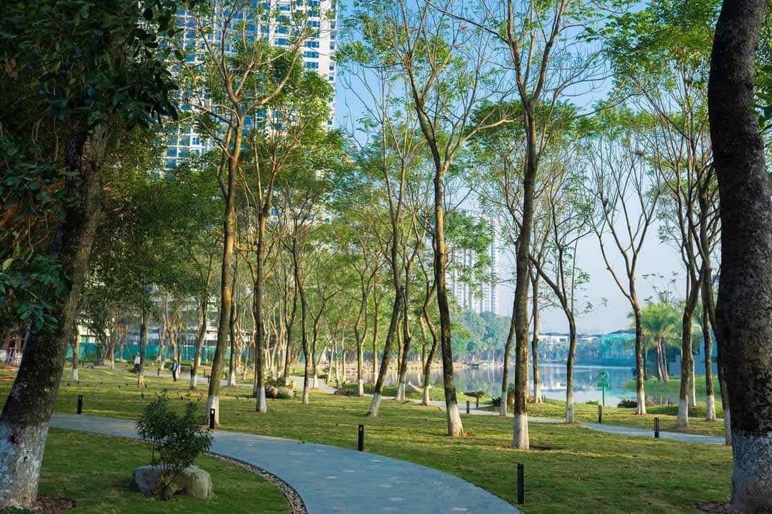 Cung đường đi bộ Ecopark