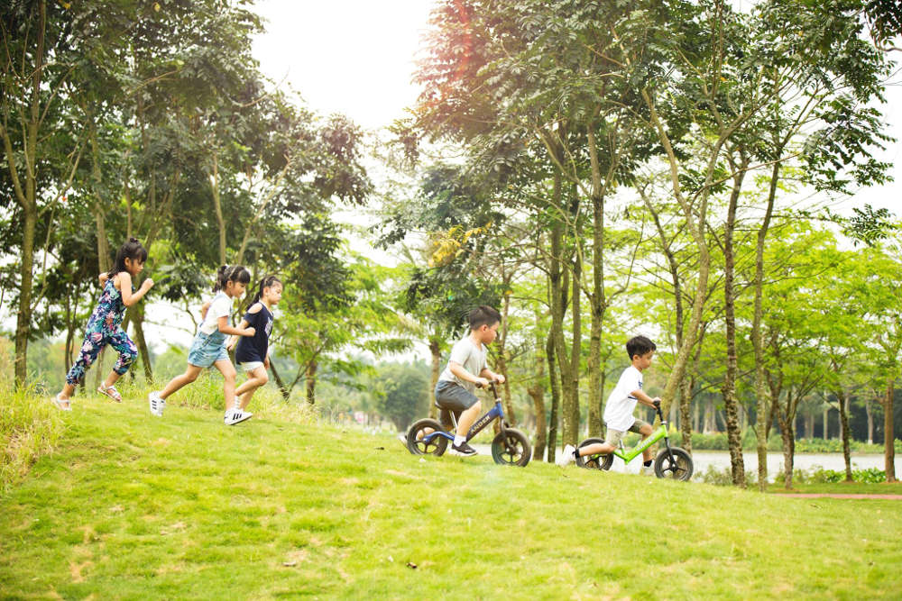 Cho thuê 3 căn villa Ecopark ngắn hạn thuê ngày giá rẻ  Resort và biệt  thự cho thuê tại Việt Nam