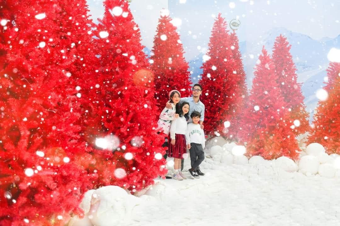 Giáng sinh Xmas 2021 tại Ecopark