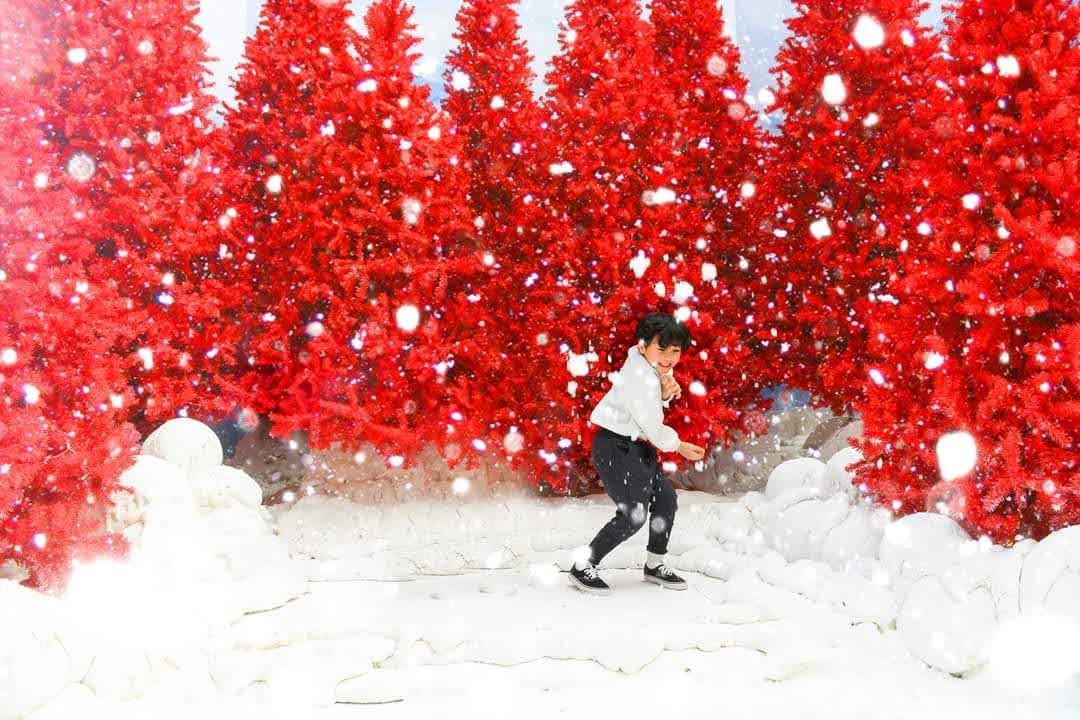 Giáng sinh Xmas 2021 tại Ecopark