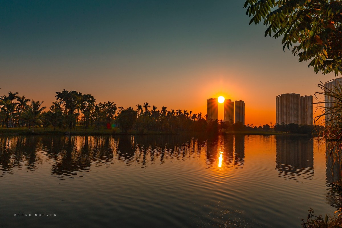 Chung cư ở Ecopark