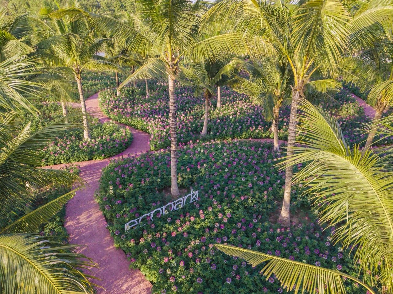 Hoa tuý điệp ở Ecopark