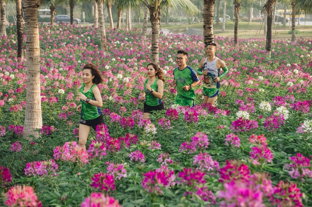 Hoa tuý điệp ở Ecopark