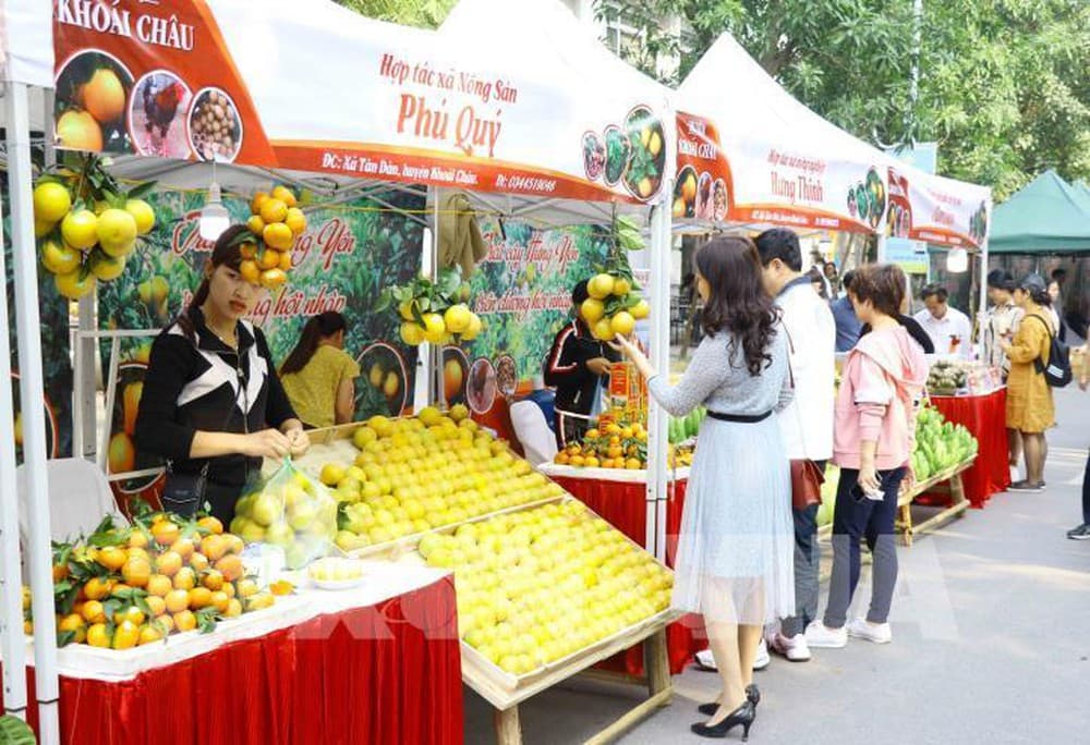 Hội chợ cam Hưng Yên năm 2020 | Ecoparker