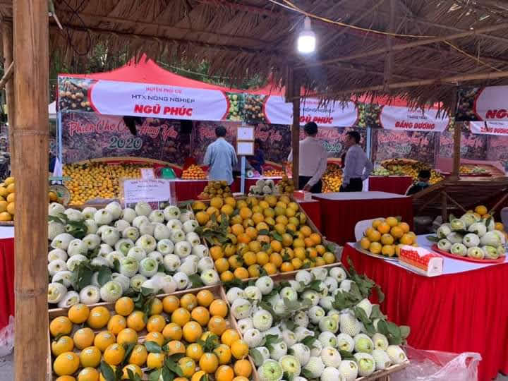 Hội chợ cam Hưng Yên năm 2020 | Ecoparker