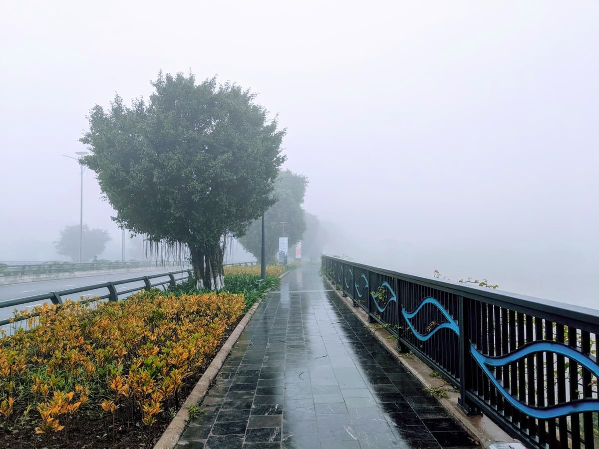 Ecopark trong sương mù