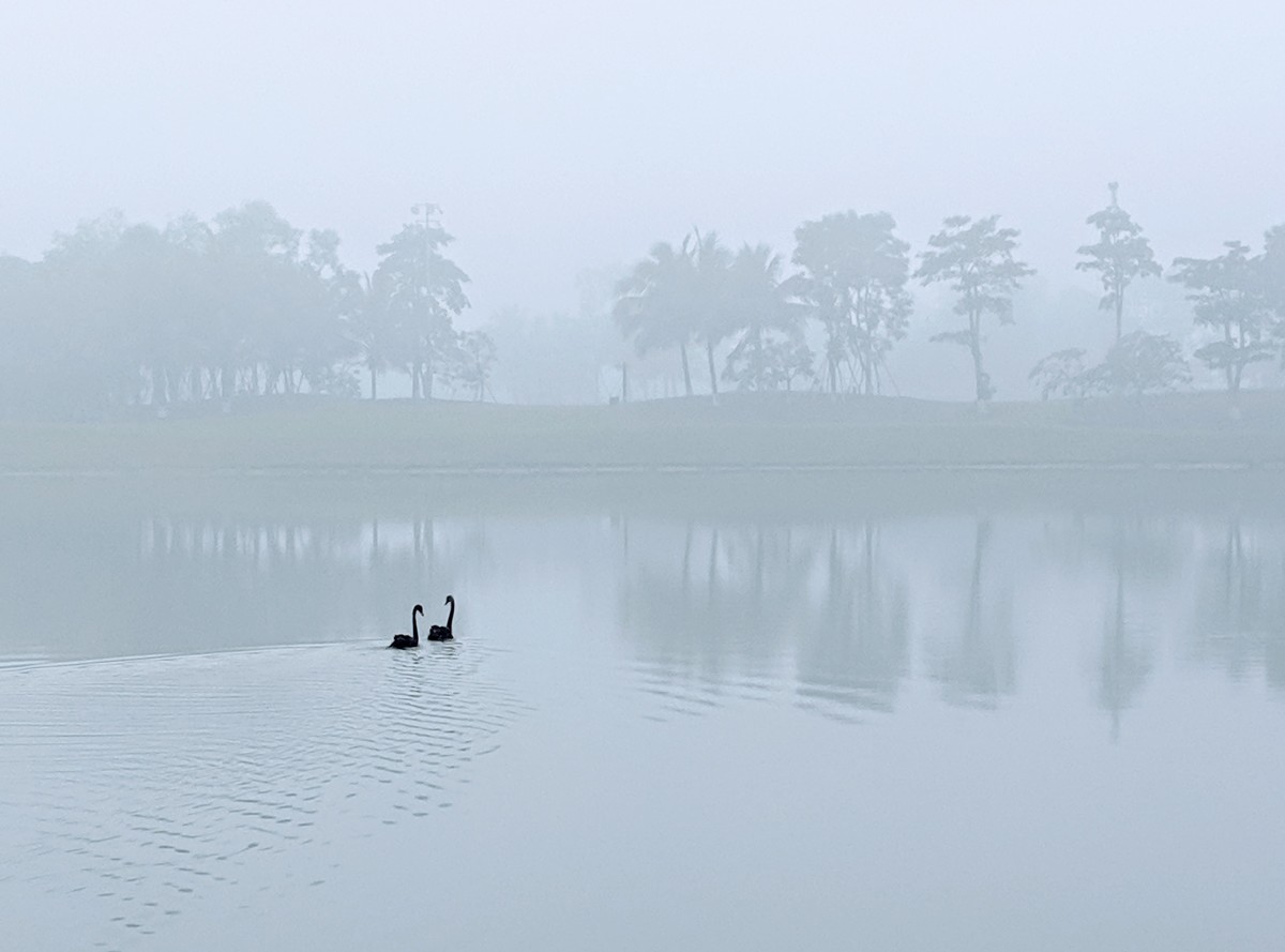 Ecopark trong sương mù