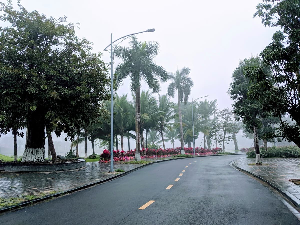 Ecopark trong sương mù