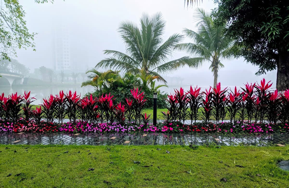 Ecopark trong sương mù