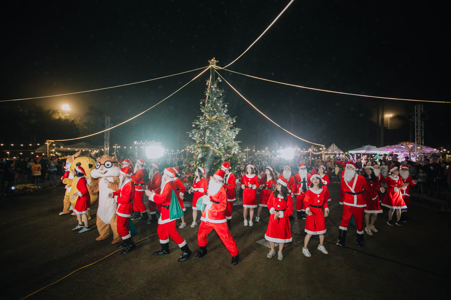 Sự kiện Đêm Giáng sinh 2019 tại Công viên Hồ Thiên Nga Ecopark